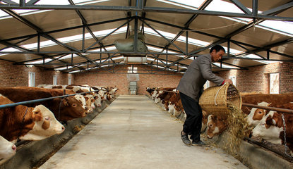 【走進“三農”】張家川五大產業齊并進（三）畜牧設備技術開發 賦能傳統養殖，驅動產業升級